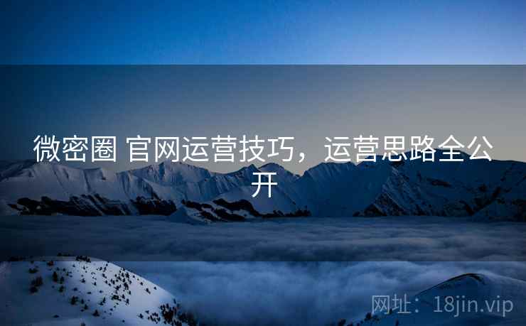 微密圈 官网运营技巧，运营思路全公开