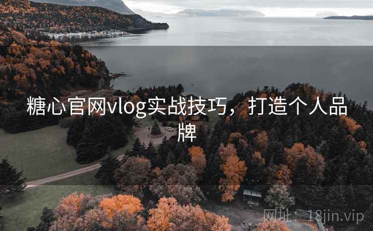 糖心官网vlog实战技巧，打造个人品牌