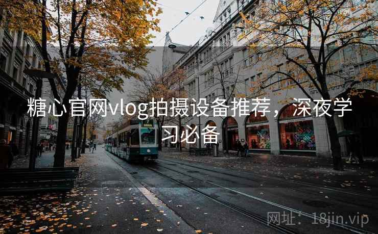 糖心官网vlog拍摄设备推荐，深夜学习必备